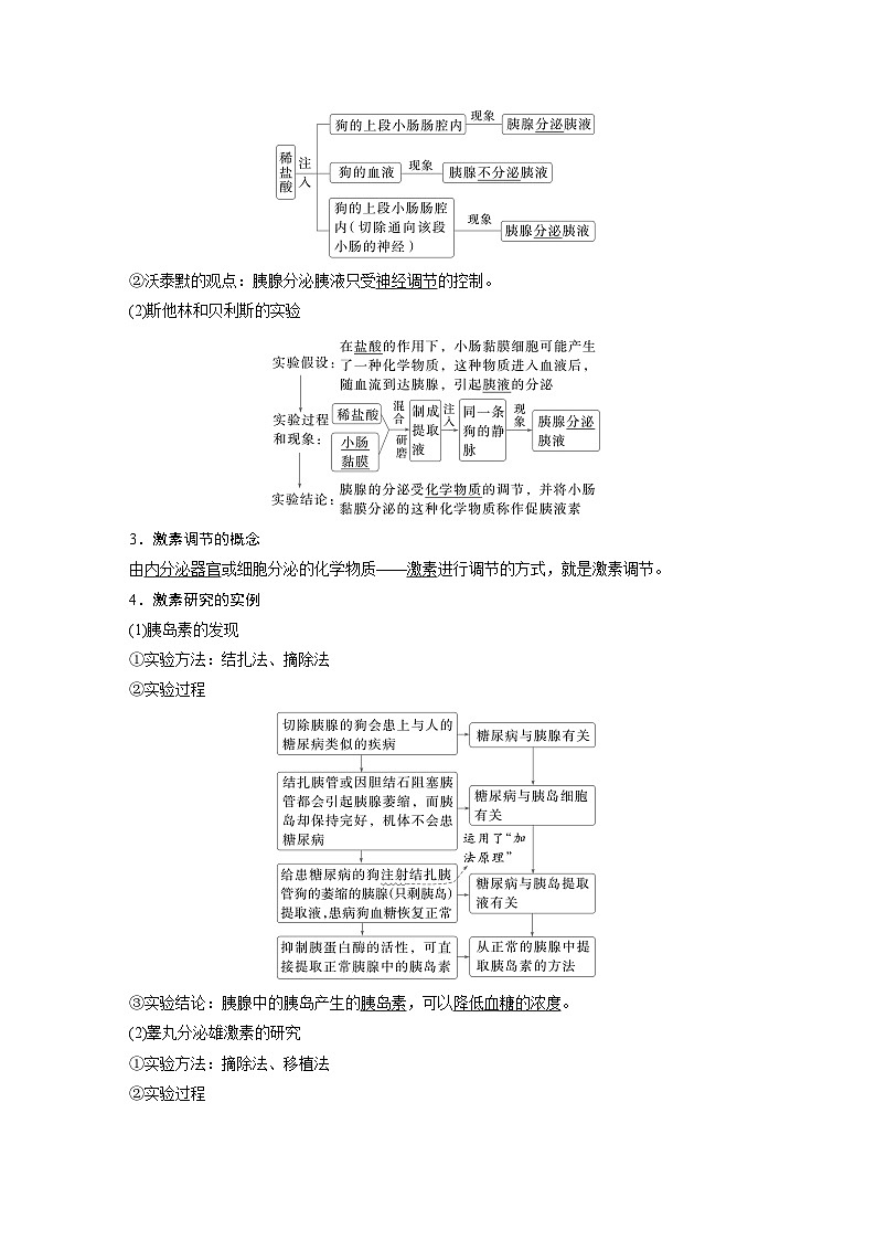 第八单元　第40课时　激素与内分泌调节及激素调节的过程-2025年高考生物大一轮复习课件02