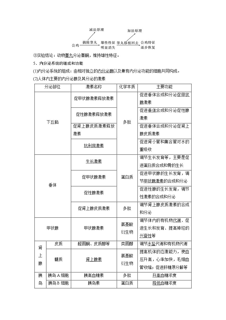 第八单元　第40课时　激素与内分泌调节及激素调节的过程-2025年高考生物大一轮复习课件03