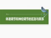 第八单元　第41课时　体液调节与神经调节的关系-2025年高考生物大一轮复习课件