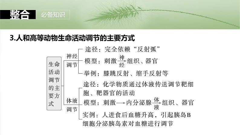 第八单元　第41课时　体液调节与神经调节的关系第8页