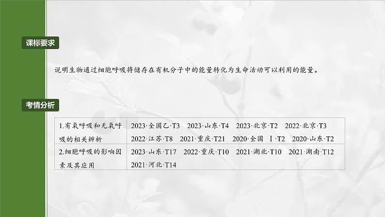 第三单元　第十四课时　无氧呼吸、细胞呼吸的影响因素及其应用-2025年高考生物大一轮复习课件02