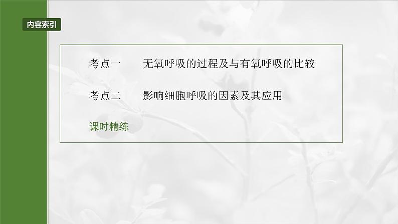 第三单元　第十四课时　无氧呼吸、细胞呼吸的影响因素及其应用-2025年高考生物大一轮复习课件03