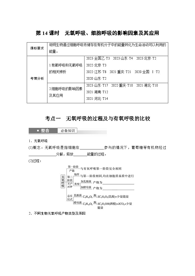 第三单元　第十四课时　无氧呼吸、细胞呼吸的影响因素及其应用-2025年高考生物大一轮复习课件01