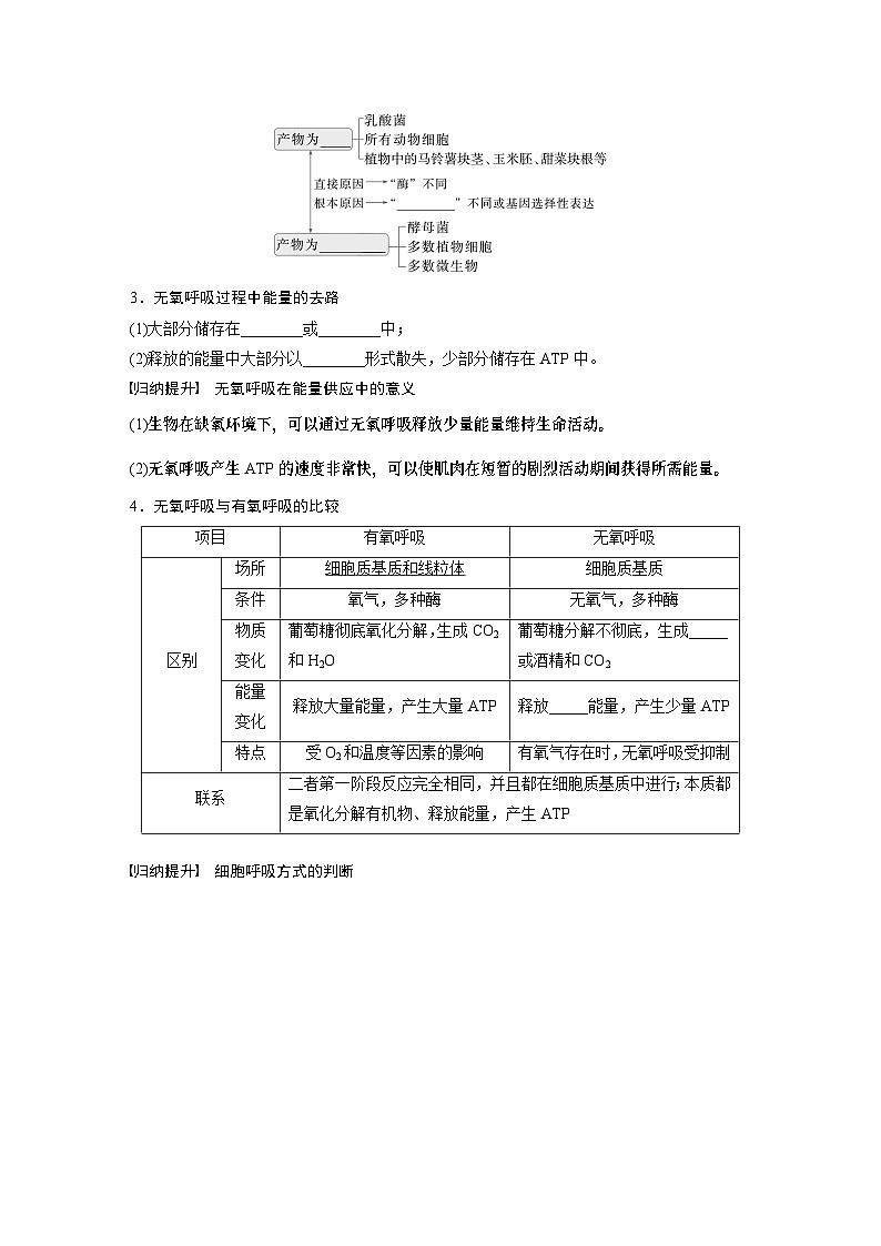 第三单元　第十四课时　无氧呼吸、细胞呼吸的影响因素及其应用-2025年高考生物大一轮复习课件02