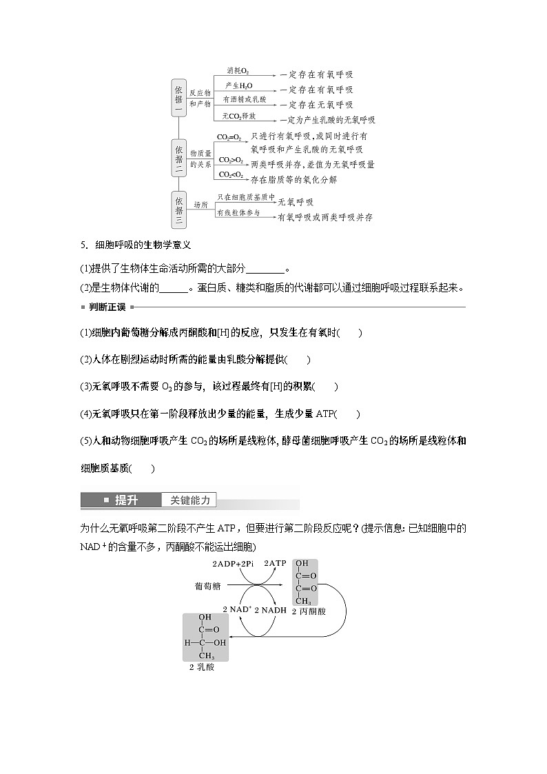 第三单元　第十四课时　无氧呼吸、细胞呼吸的影响因素及其应用-2025年高考生物大一轮复习课件03