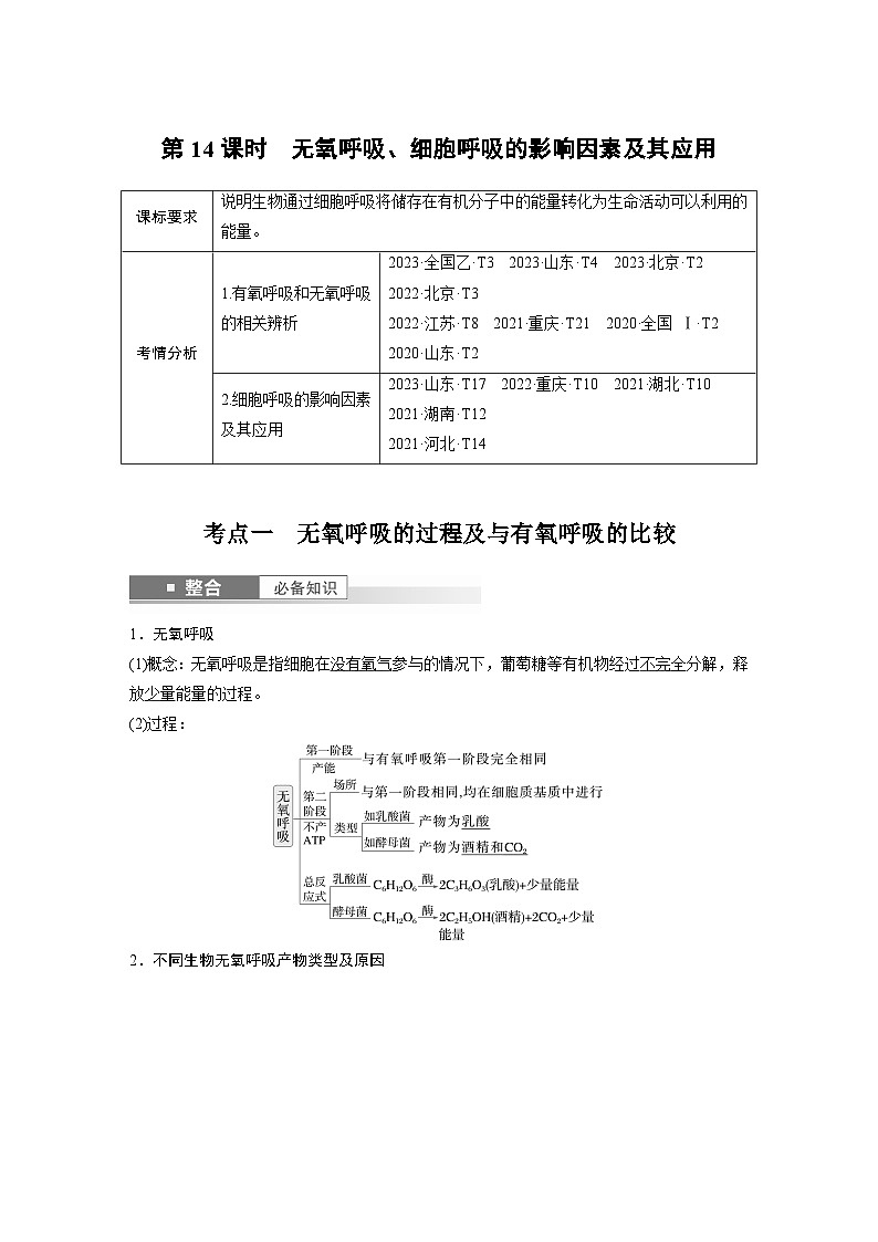 第三单元　第十四课时　无氧呼吸、细胞呼吸的影响因素及其应用-2025年高考生物大一轮复习课件01