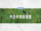 第三单元　第十六课时　光合作用的原理-2025年高考生物大一轮复习课件