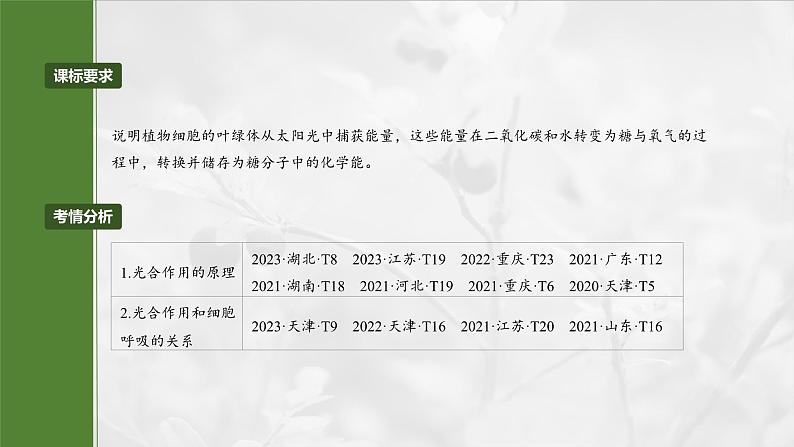 第三单元　第十六课时　光合作用的原理-2025年高考生物大一轮复习课件02