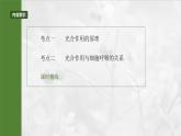 第三单元　第十六课时　光合作用的原理-2025年高考生物大一轮复习课件