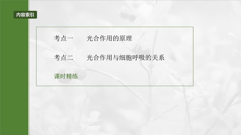 第三单元　第十六课时　光合作用的原理-2025年高考生物大一轮复习课件03