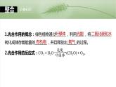 第三单元　第十六课时　光合作用的原理-2025年高考生物大一轮复习课件