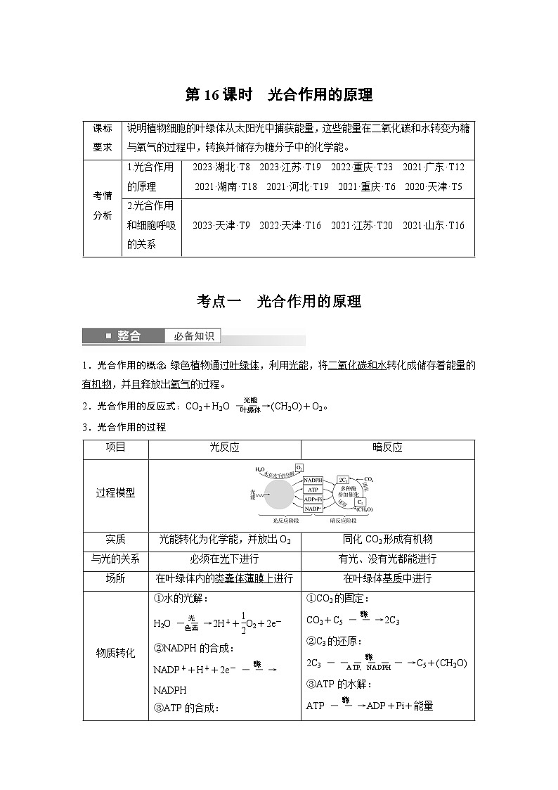 第三单元　第十六课时　光合作用的原理-2025年高考生物大一轮复习课件01