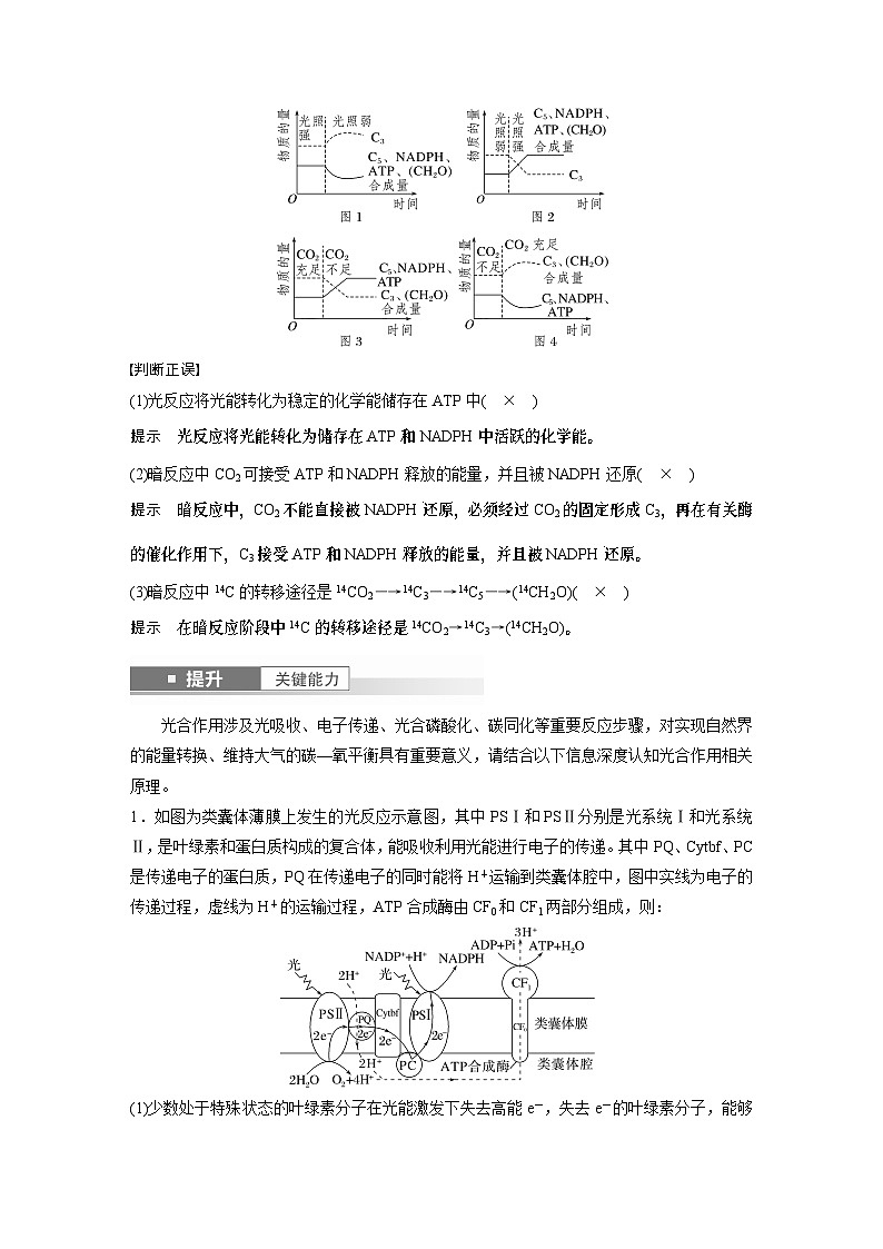 第三单元　第十六课时　光合作用的原理-2025年高考生物大一轮复习课件03
