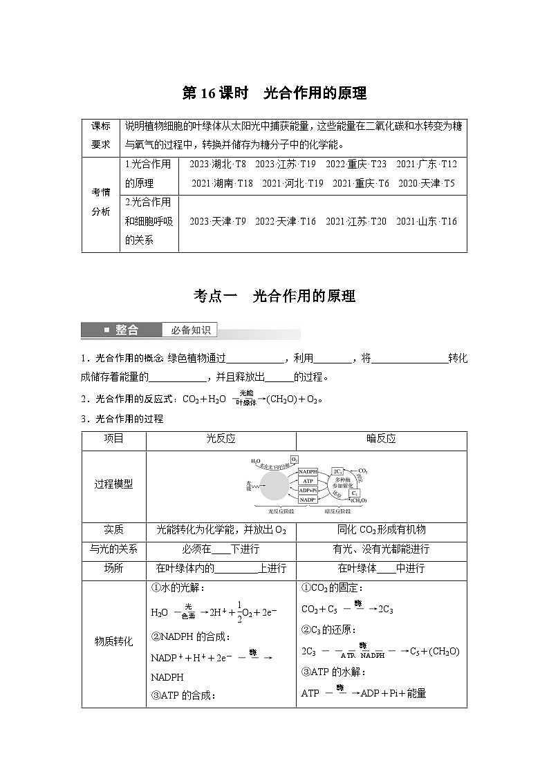 第三单元　第十六课时　光合作用的原理-2025年高考生物大一轮复习课件01
