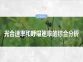 第三单元　第十八课时　光合速率和呼吸速率的综合分析-2025年高考生物大一轮复习课件