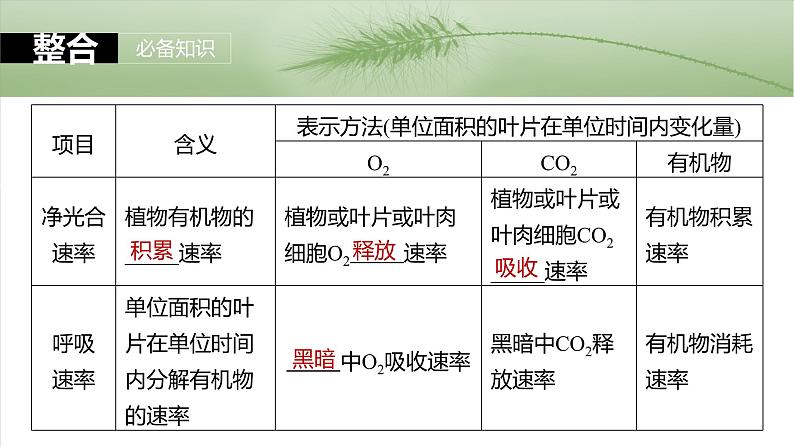 第三单元　第18课时　光合速率和呼吸速率的综合分析第7页