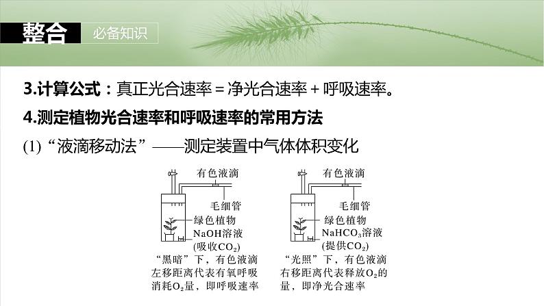 第三单元　第18课时　光合速率和呼吸速率的综合分析第8页