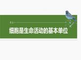 第一单元　第一课时　走近细胞-2025年高考生物大一轮复习课件