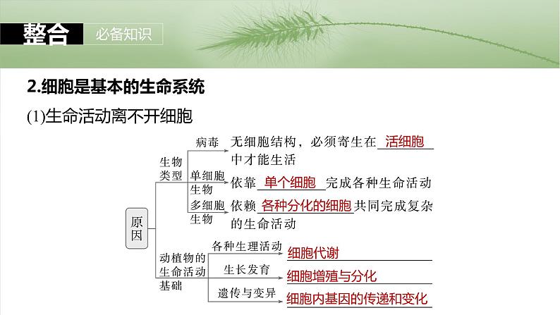 第一单元　第一课时　走近细胞-2025年高考生物大一轮复习课件08