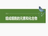 第一单元　第二课时　组成细胞的元素和化合物-2025年高考生物大一轮复习课件