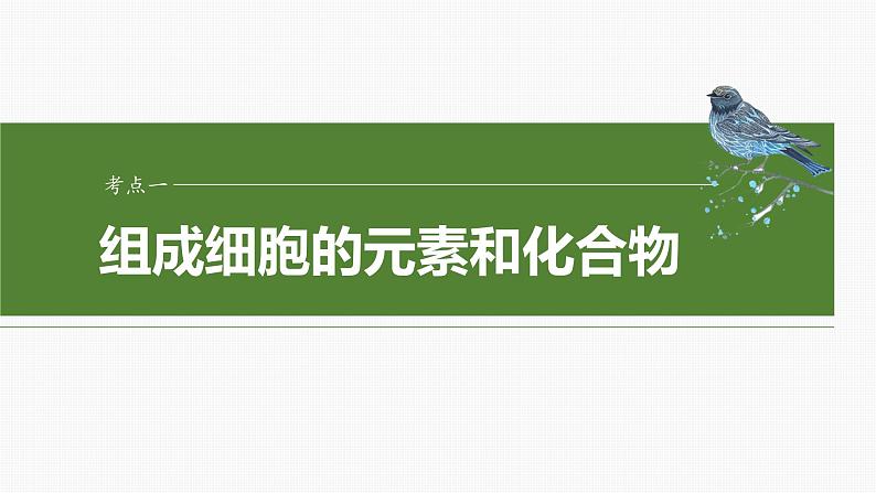 第一单元　第二课时　组成细胞的元素和化合物-2025年高考生物大一轮复习课件04