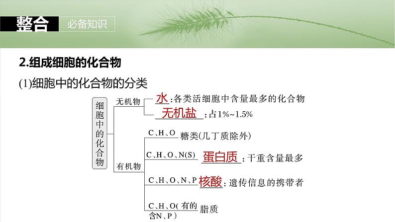 第一单元　第二课时　组成细胞的元素和化合物-2025年高考生物大一轮复习课件07