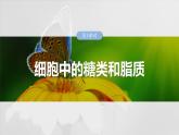 第一单元　第三课时　细胞中的糖类和脂质-2025年高考生物大一轮复习课件