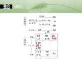 第一单元　第三课时　细胞中的糖类和脂质-2025年高考生物大一轮复习课件