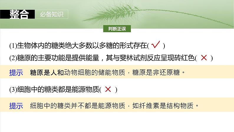 第一单元　第三课时　细胞中的糖类和脂质-2025年高考生物大一轮复习课件07