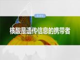 第一单元　第五课时　核酸是遗传信息的携带者-2025年高考生物大一轮复习课件