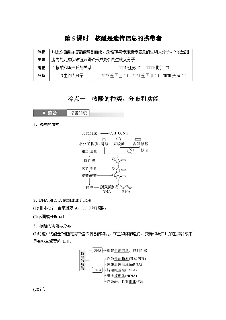 第一单元　第5课时　核酸是遗传信息的携带者（教师版）第1页