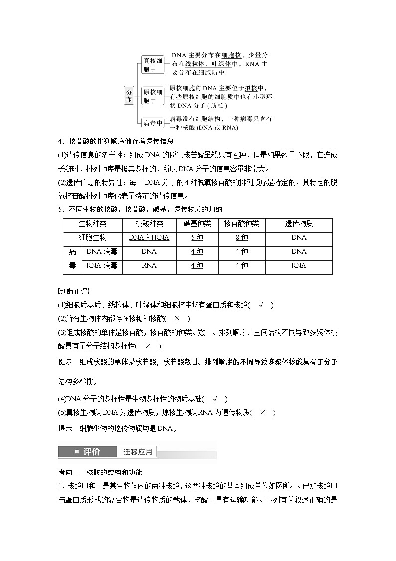 第一单元　第5课时　核酸是遗传信息的携带者（教师版）第2页