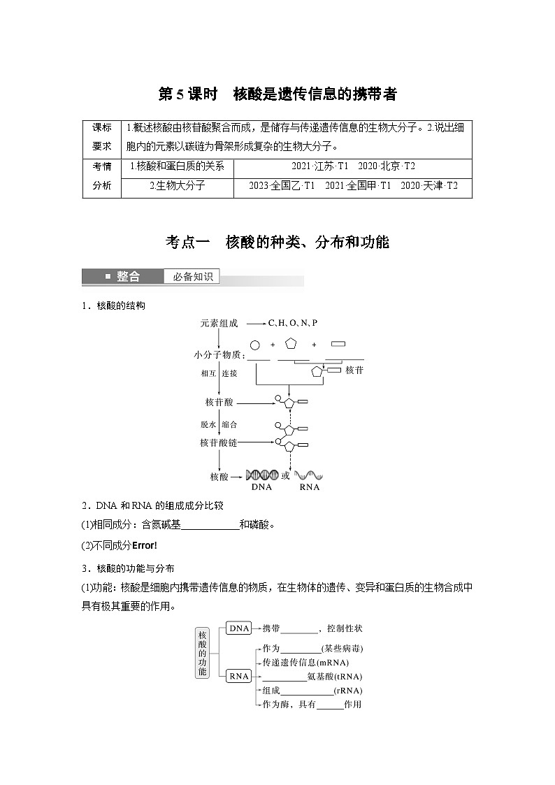 第一单元　第5课时　核酸是遗传信息的携带者（学生版）第1页
