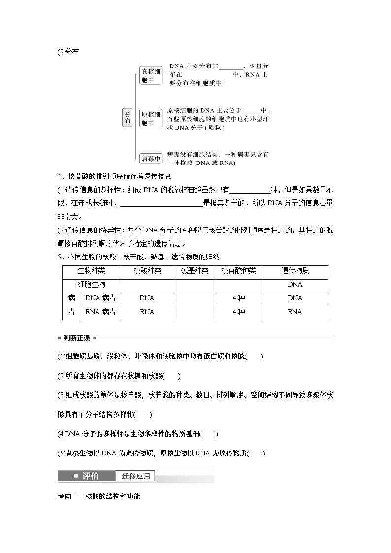 第一单元　第5课时　核酸是遗传信息的携带者（学生版）第2页