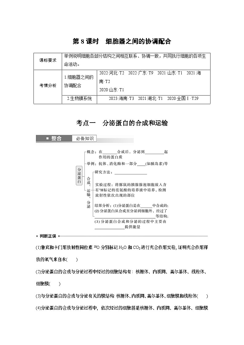 第二单元　第八课时　细胞器之间的协调配合-2025年高考生物大一轮复习课件01
