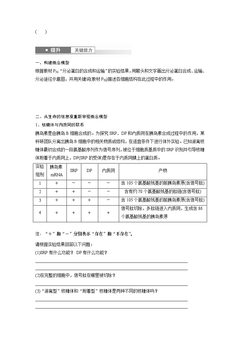 第二单元　第八课时　细胞器之间的协调配合-2025年高考生物大一轮复习课件02