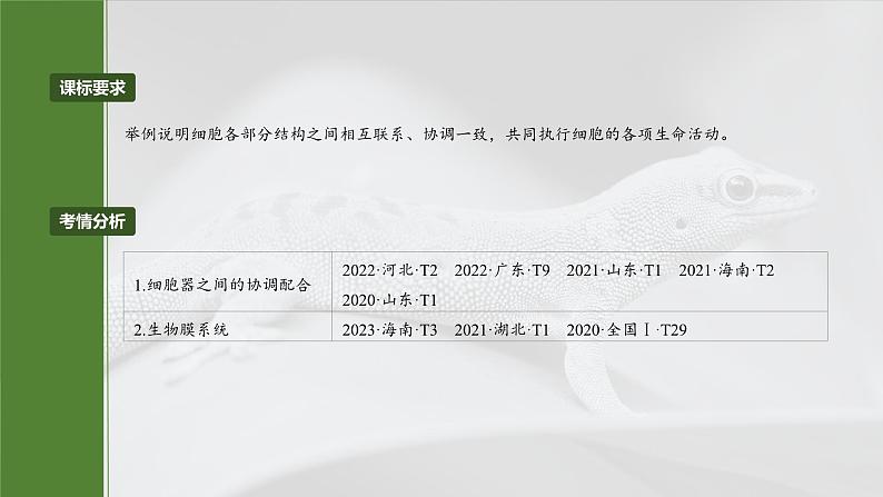 第二单元　第八课时　细胞器之间的协调配合-2025年高考生物大一轮复习课件02