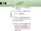 第二单元　第八课时　细胞器之间的协调配合-2025年高考生物大一轮复习课件