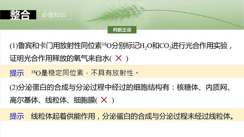 第二单元　第八课时　细胞器之间的协调配合-2025年高考生物大一轮复习课件06