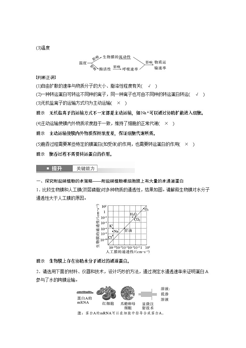 第二单元　第十课时　物质进出细胞的方式及影响因素-2025年高考生物大一轮复习课件03