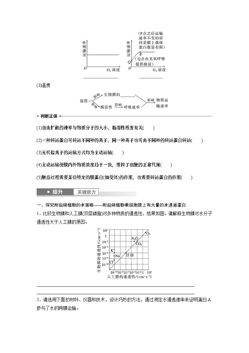 第二单元　第十课时　物质进出细胞的方式及影响因素-2025年高考生物大一轮复习课件03