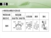 第二单元　第十课时　物质进出细胞的方式及影响因素-2025年高考生物大一轮复习课件