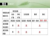 第二单元　第十课时　物质进出细胞的方式及影响因素-2025年高考生物大一轮复习课件