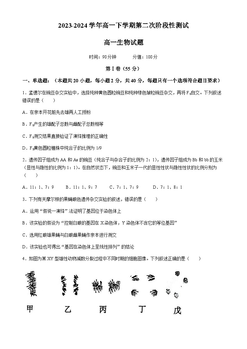 山东省聊城市第一中学2023-2024学年高一下学期第二次阶段性测试 生物 Word版含答案01