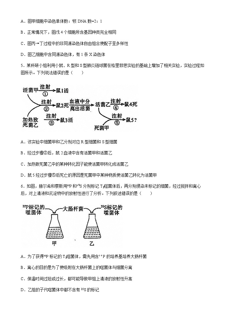 山东省聊城市第一中学2023-2024学年高一下学期第二次阶段性测试 生物 Word版含答案02