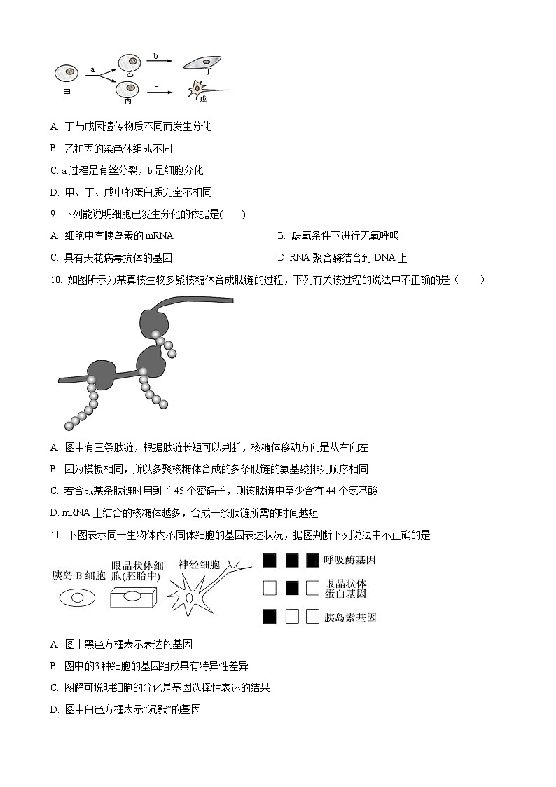 山西省朔州市怀仁市大地学校高中部2023-2024学年高一下学期6月月考生物试卷（Word版附解析）第3页