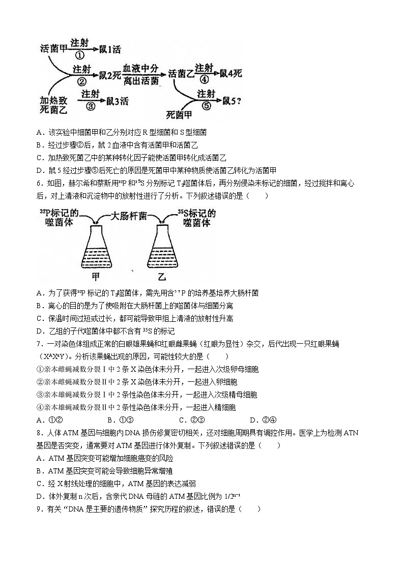 山东省聊城市第一中学2023-2024学年高一下学期第二次月考生物试卷（Word版附答案）02