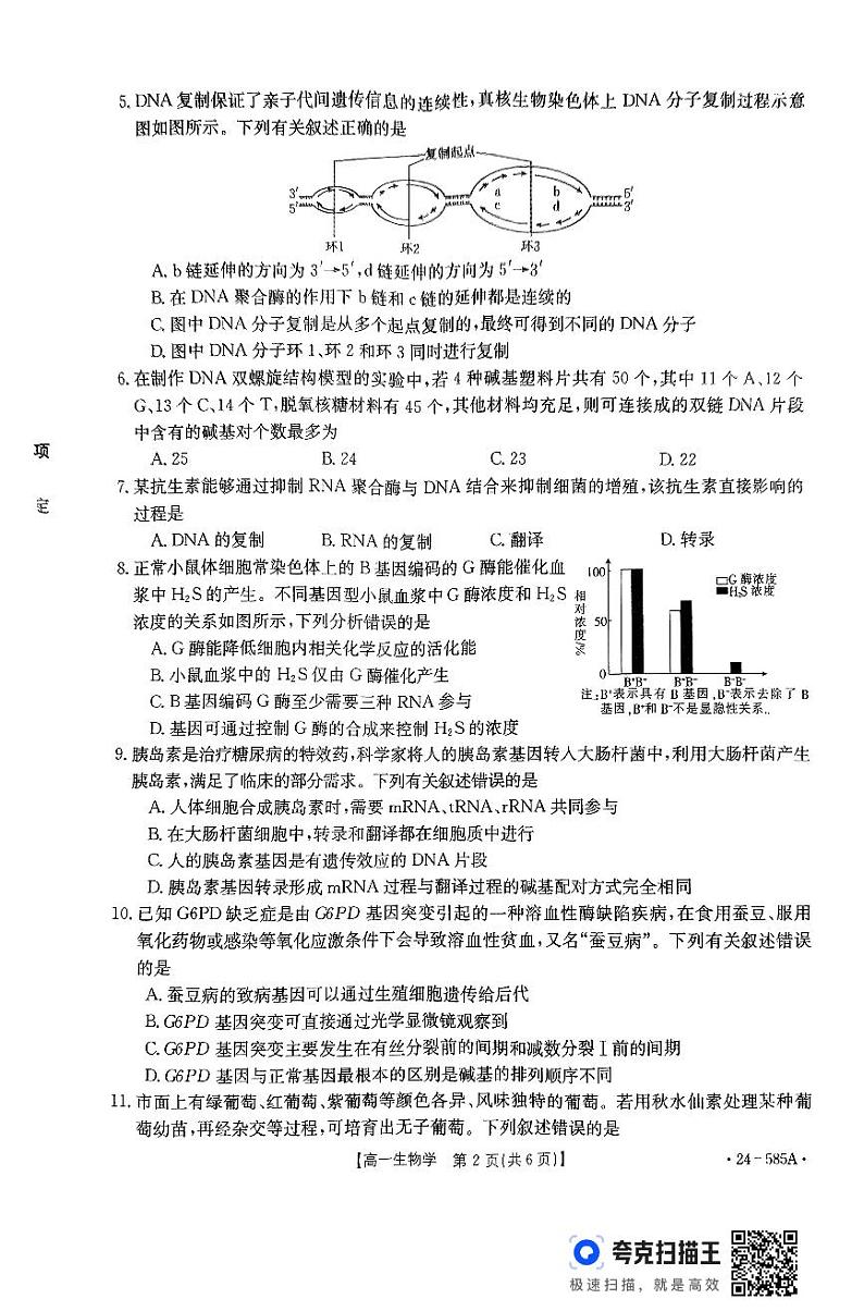 河北省定州市2023-2024学年高一下学期期末考试生物试题02