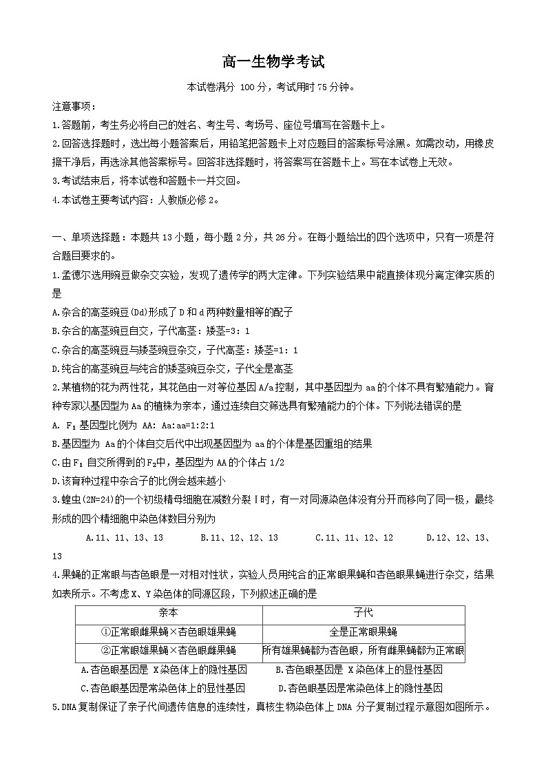河北省定州市2023-2024学年高一下学期期末考试生物试题01