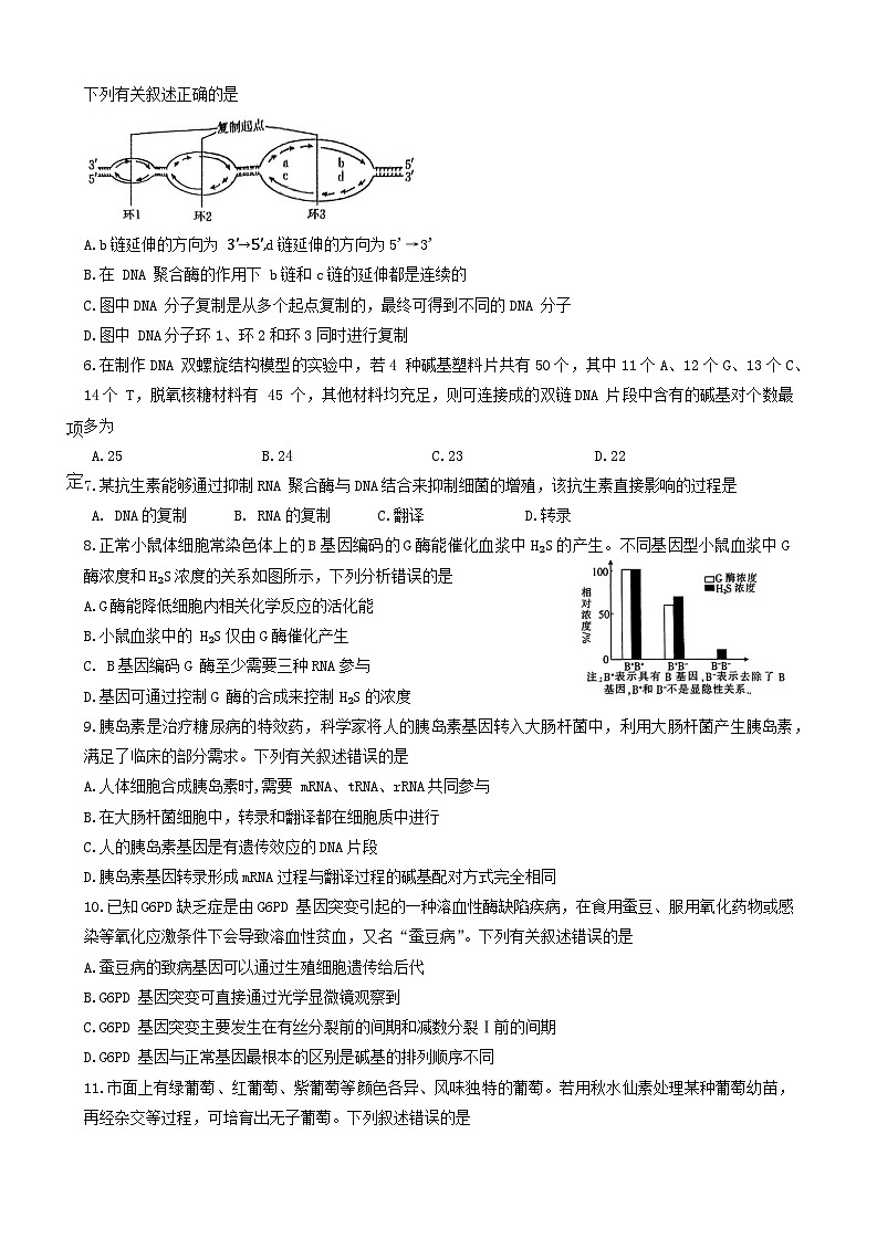 河北省定州市2023-2024学年高一下学期期末考试生物试题02